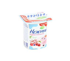 Resmi Fruttis Neznyy Meyveli Su Dondurma Yogurt 12% 100gr